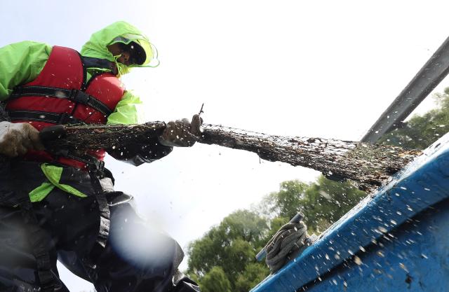 Officials from the Future Han River Headquarters conduct a fish species survey in the Han River near Bamseom Island in Yeongdeungpo-gu western Seoul on April 23 2026 Pool photo 
