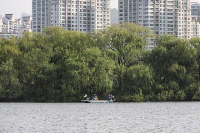 Officials from the Future Han River Headquarters conduct a fish species survey in the Han River near Bamseom Island in Yeongdeungpo-gu western Seoul on April 23 2026 AJP Yoo Na-hyun

