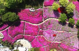 Friday Forecast: Highs Near 77 Degrees, Big Day-Night Temperature Swings