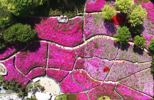 [내일 날씨] 낮 최고 25도 초여름 날씨...큰 일교차 주의