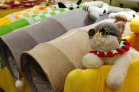 Whiskers and wallets: cat show at KINTEX