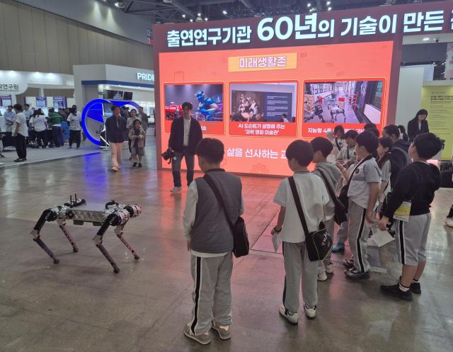 사진나선혜 기자