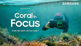 Samsung’s ‘Coral in Focus’ wins international awards for reef restoration using Galaxy cameras