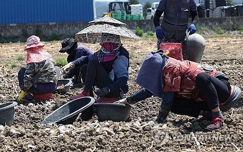 Bắt giữ đối tượng môi giới trái phép hơn 80 lao động thời vụ nước ngoài