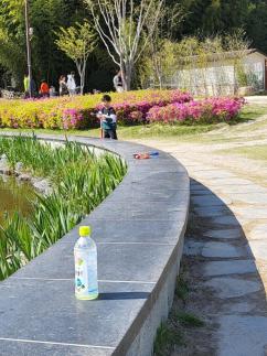 [기획上] 정원도시 울산, 준비는 충분한가…태화강 수질·악취·대기 관리 시험대