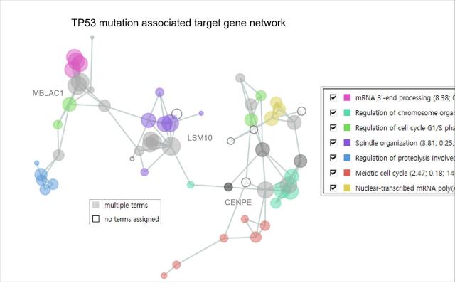 Sookmyung Womens University team develops gene data modeling tool