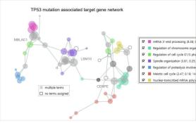 Sookmyung Womens University team develops gene data modeling tool