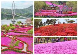 경기도, 식생활교육 예산 3배 확대…취약계층 맞춤 지원 강화