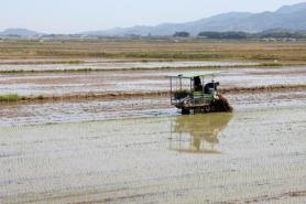 Half of South Korea’s Farm and Fishing Households Are 65 or Older, Census Finds