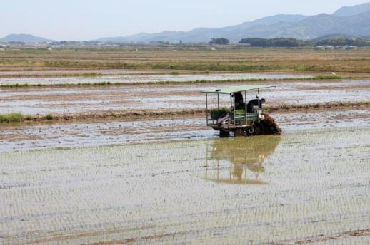 농림어가 2명중 1명은 65세 이상…5년새 1인가구 7.2%p↑