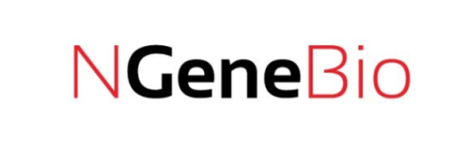 [특징주] 엔젠바이오, 감자·유증 이중 악재에 25% 급락