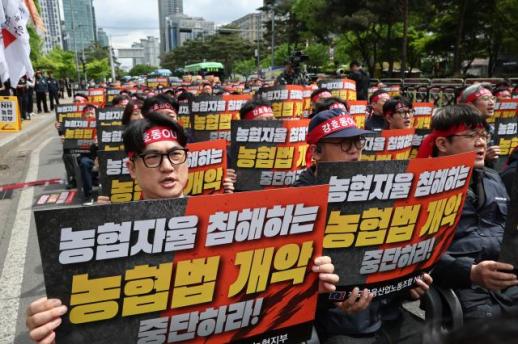 [권가림의 금만세] 강호동 회장 일탈에 옥상옥 감사…직원들 옥상으로, 거리로