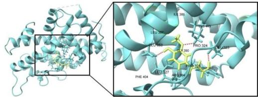 탈모 고민 끝나나…LG생활건강, 천궁서 발모 촉진 성분 찾았다