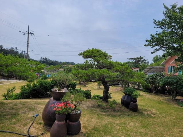 압해읍에 개인정원으로 등록된 정원의 모습사진신안군