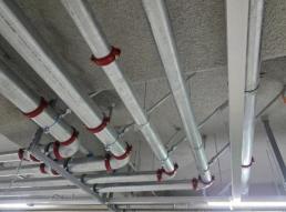 [특징주] 엔젠바이오, 감자·유증 이중 악재에 25% 급락