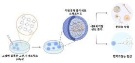 KAIST phát triển công nghệ nuôi cấy tế bào gốc 3D…nâng cao khả năng sống và hiệu quả điều trị