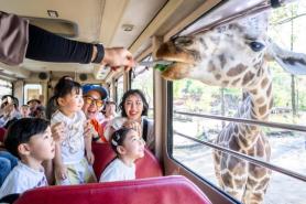 Theme Parks Roll Out Children’s Day Events With Safaris, MapleStory and Fireworks