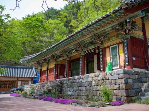 충남도, 조선 사찰 건축의 정수 금산·청양서 보물로 격상