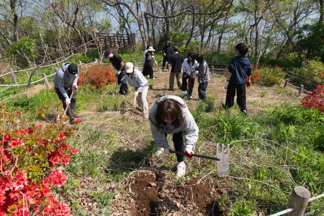 인천 섬 지역상생 캠프 일환으로 자월도에서 인천관광공사와 존슨앤드존슨 직원 지역 주민이 함께 나무심기 봉사활동을 하고 있다 사진인천관광공사
