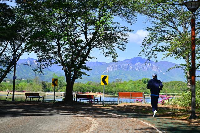 강원 속초시 영랑호 일원 사진연합뉴스