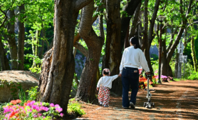 Holiday Weekend Forecast: Cool Mornings, Highs Up to 26C; Dry Air and Poor Dust in Seoul Area