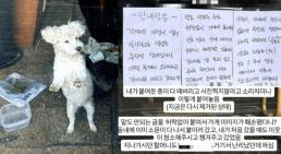 안전한 장소에 둔 것…성시경 맛집, 강아지 유기 의혹에 한 말