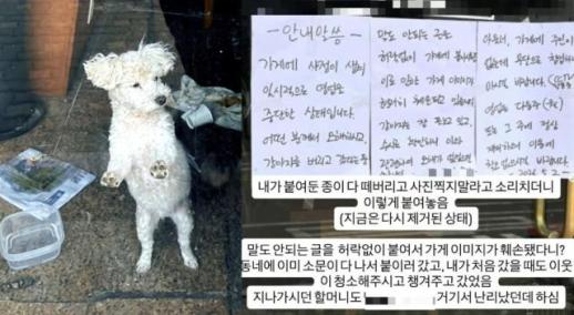 안전한 장소에 둔 것…성시경 맛집, 강아지 유기 의혹에 한 말