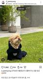 From Bobby to Pungsan Dogs: What ‘Pet Diplomacy’ Signals in Summit Politics