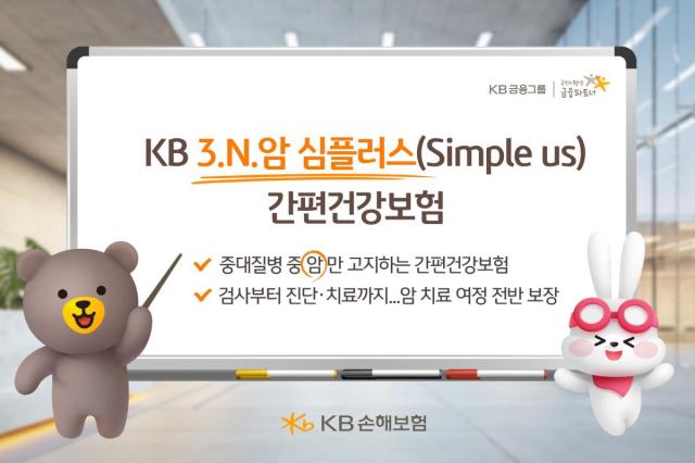 사진KB손해보험