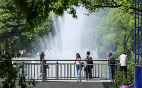 Seoul converts downtown into massive garden for international exhibition
