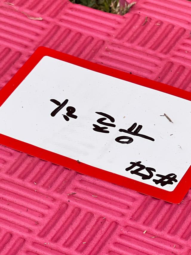 2일 오후 서울 영등포구 여의도한강공원 멀티플라자에서 열린 ‘2026 한강 잠 퍼자기 대회’에서 58번을 배정받은 유준하 기자의 이름표 20260502 사진유준하 기자 joonhayoo94ajupresscom