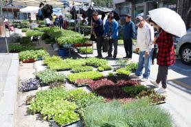 South Korea to tighten tariff-quota oversight, speed bonded-warehouse releases