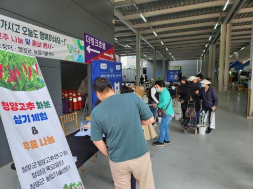 청양고추, 신도림 한복판서 매운맛 존재감 과시