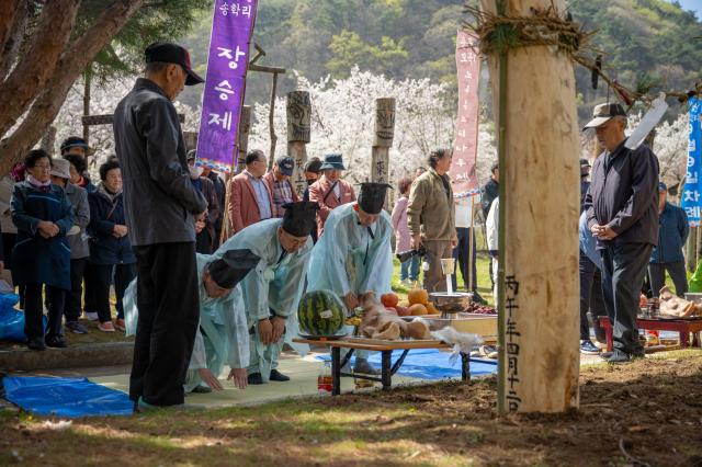 제27회 청양칠갑산장승문화축제 개최 모습사진청양군
