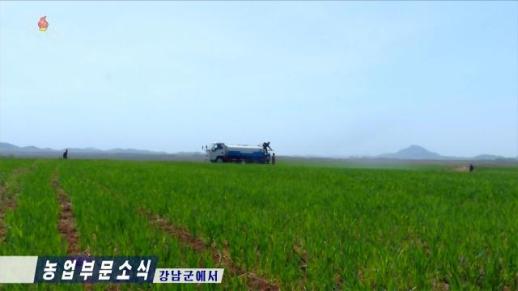 北, 모내기에 역량 총집중