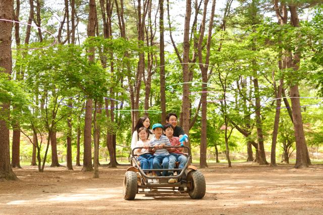 Visitors ride carts at the Nami Island International Childrens Book Festival held on Nami Island in Chuncheon Gangwon Province May 10 2026 AJP Han Jun-gu

