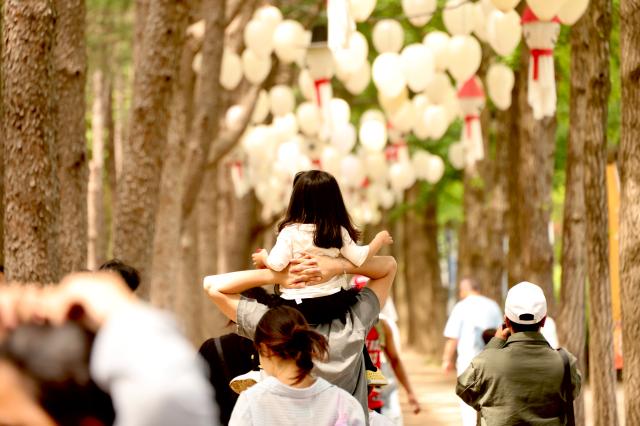 Visitors enjoy a walk at the Nami Island International Childrens Book Festival held on Nami Island in Chuncheon Gangwon Province May 10 2026 AJP Han Jun-gu