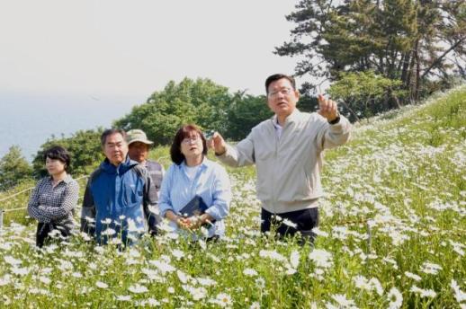 부안 변산마실길, 샤스타데이지로 눈 호강