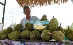 Vietnam Turns to Korean Agricultural Model Amid Durian Export Challenges