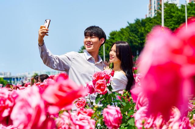 중랑 서울장미축제를 즐기는 사람들의 모습 사진중랑구