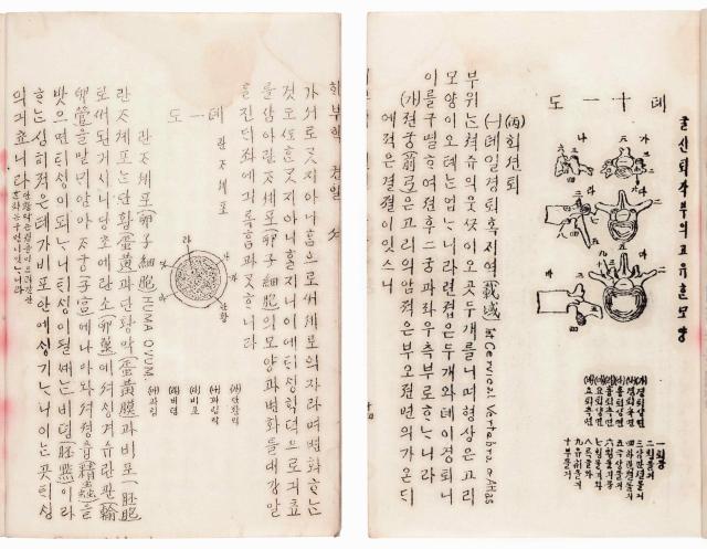 Early Korean anatomy textbook to be registered as cultural heritage