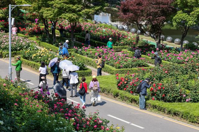 Visitors enjoy blooming roses and early summer scenery at Jungnang Rose Park in Seoul’s Jungnang District on May 14 2026 ahead of the opening of the 18th Seoul Jungnang Rose Festival AJP Yoo Na-hyun


