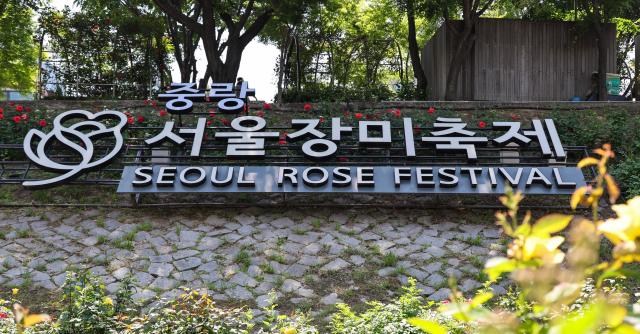 Visitors enjoy blooming roses and early summer scenery at Jungnang Rose Park in Seoul’s Jungnang District on May 14 2026 ahead of the opening of the 18th Seoul Jungnang Rose Festival AJP Yoo Na-hyun

