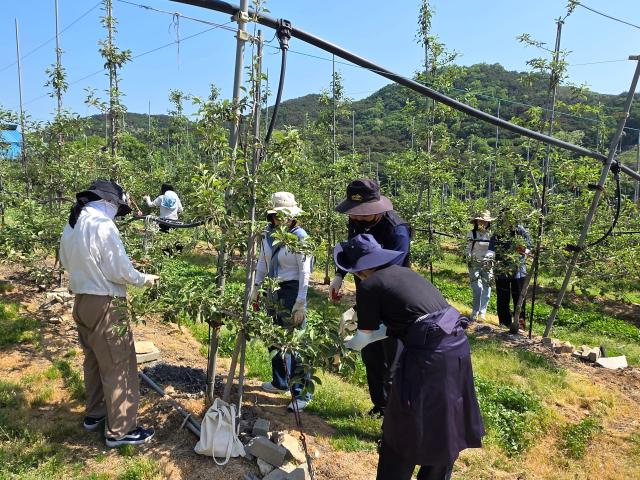 사진충남도