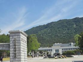 Voter Apathy Prevails in Gyeongnam Amid Kim Kyung-soo and Park Wan-soo Rivalry