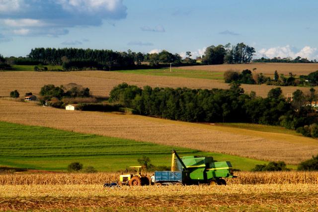 Korean farm income hits record on livestock rebound