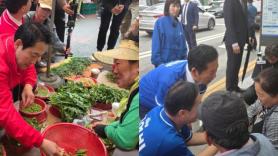 Intense Competition Ahead of Local Elections in South Korea