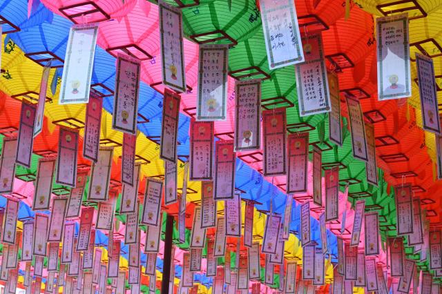 Lanterns and handwritten prayer cards hang at Hyangiram Hermitage in Yeosu, South Jeolla Province, on May 24, 2026, for Buddha’s Birthday. AJP Joonha Yoo