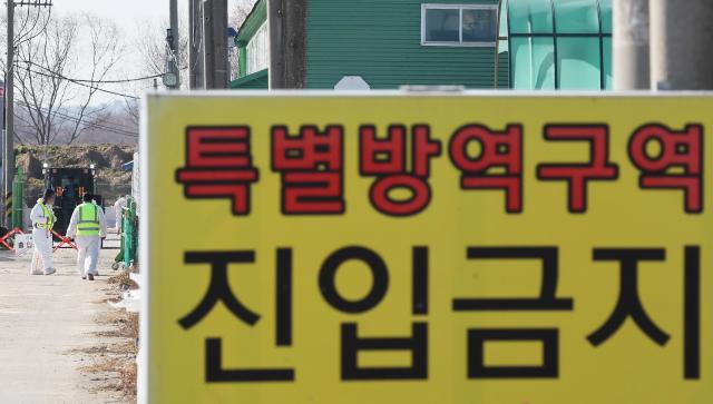 지난해 12월 고병원성 조류인플루엔자AI가 발생한 경기도 평택시 산란계 농장 출입이 통제되고 있다 사진연합뉴스