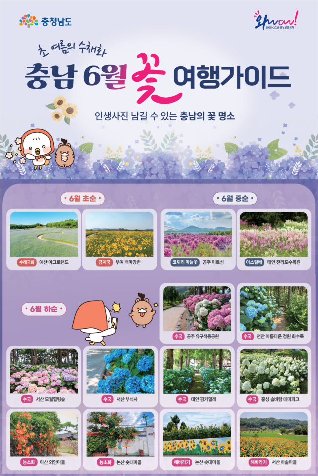 6월 충남 꽃 관광 명소사진충남도